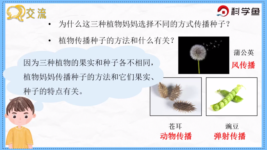 种子的传播方法（种子是怎样传播的） 第4张