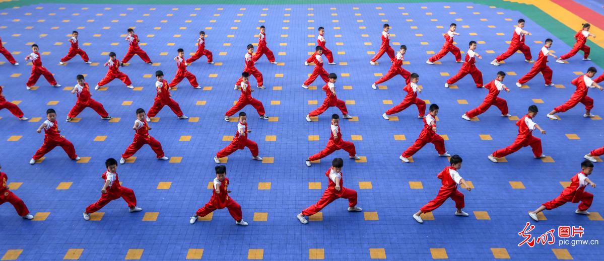 河北鸡泽:二郎拳暑期进校园