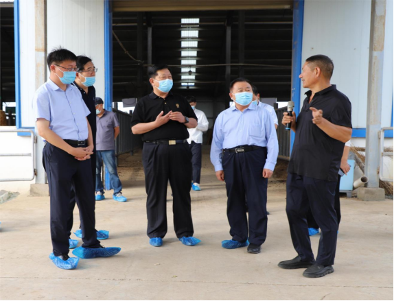 河南省老促会副会长卢长健一行到驻马店市调研革命老区乡村振兴情况