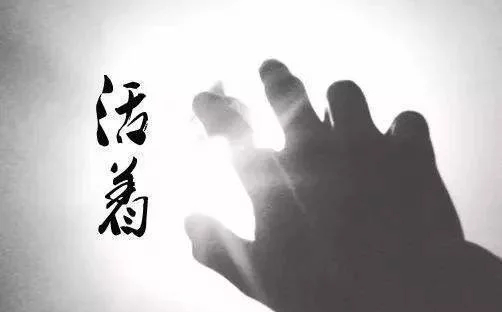《活着》看透了人生,你活着才不会没有希望