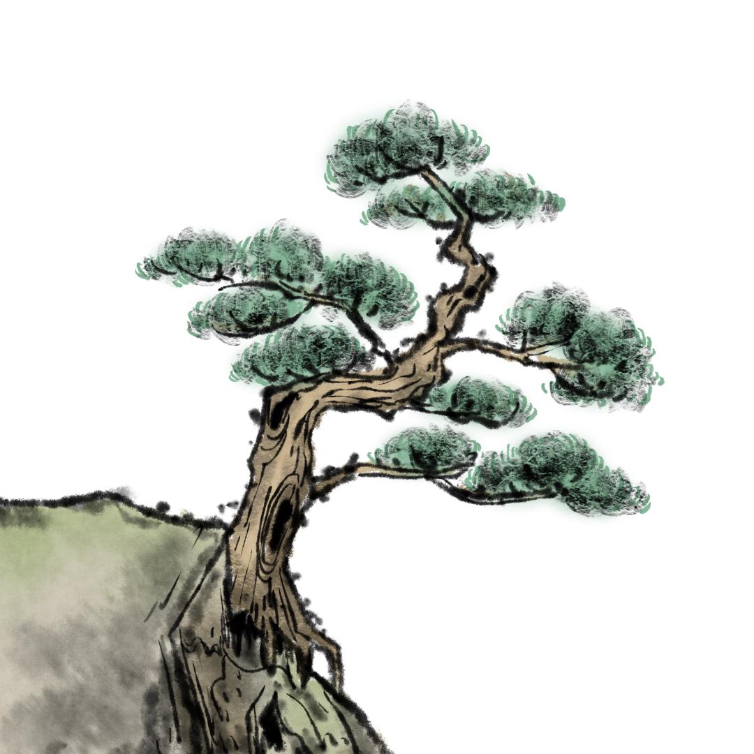 像青松伫立,诠释行政审判的温暖【劳动节人物特辑】