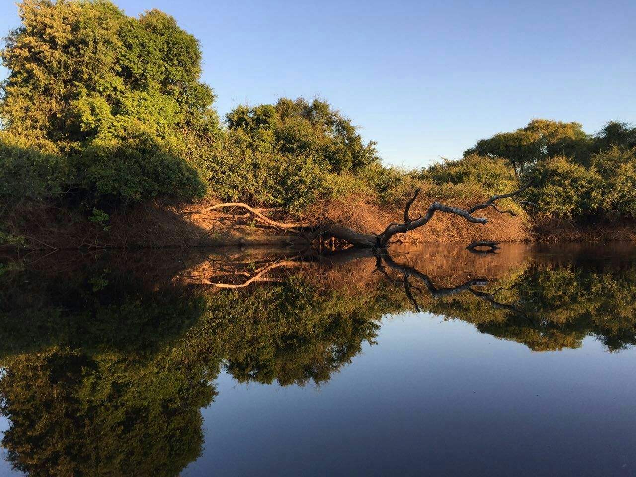 探秘南美洲最大湿地,神秘的潘塔纳尔湿地