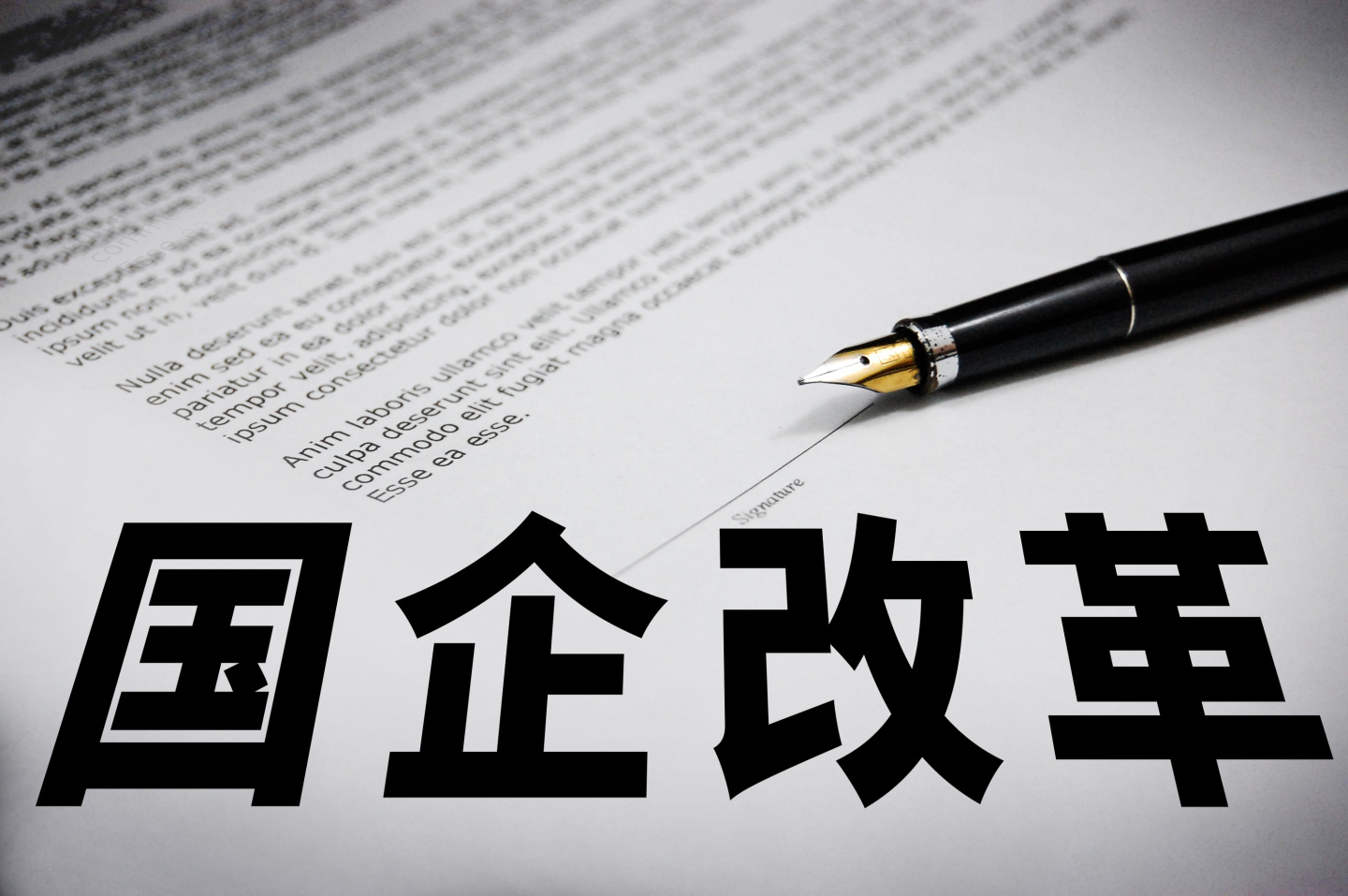 国有企业混合所有制改革的方式及特点是什么?