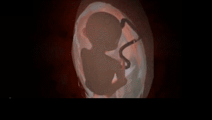 孕晚期,孕妈肚子经常出现下坠感,是胎儿入盆的信号吗?