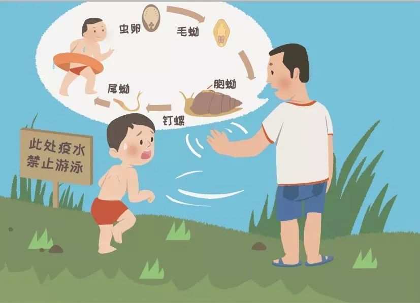 公卫·科普|血吸虫病 可防可治