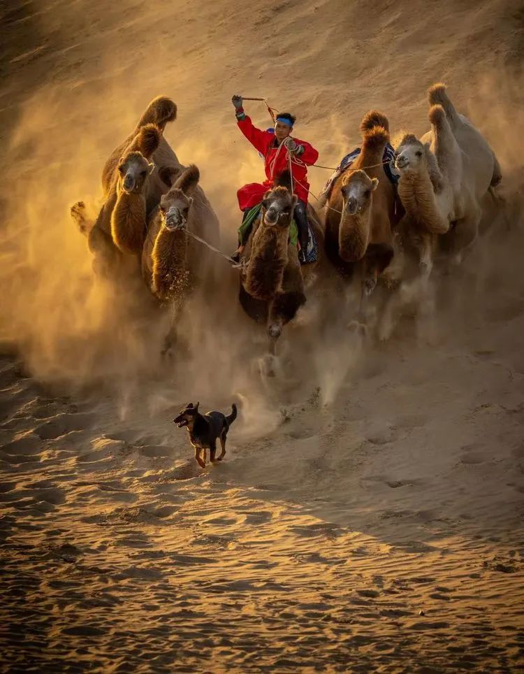 大漠孤烟,驼铃悠扬,楼兰女再现异域风情