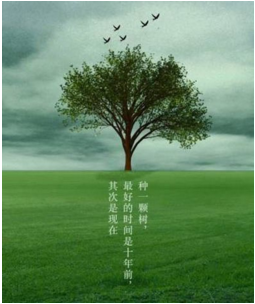 "种一棵树最好的时间是十年前,其次是现在"出自哪里?