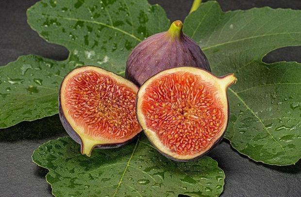 无花果的功效与作用及食用方法