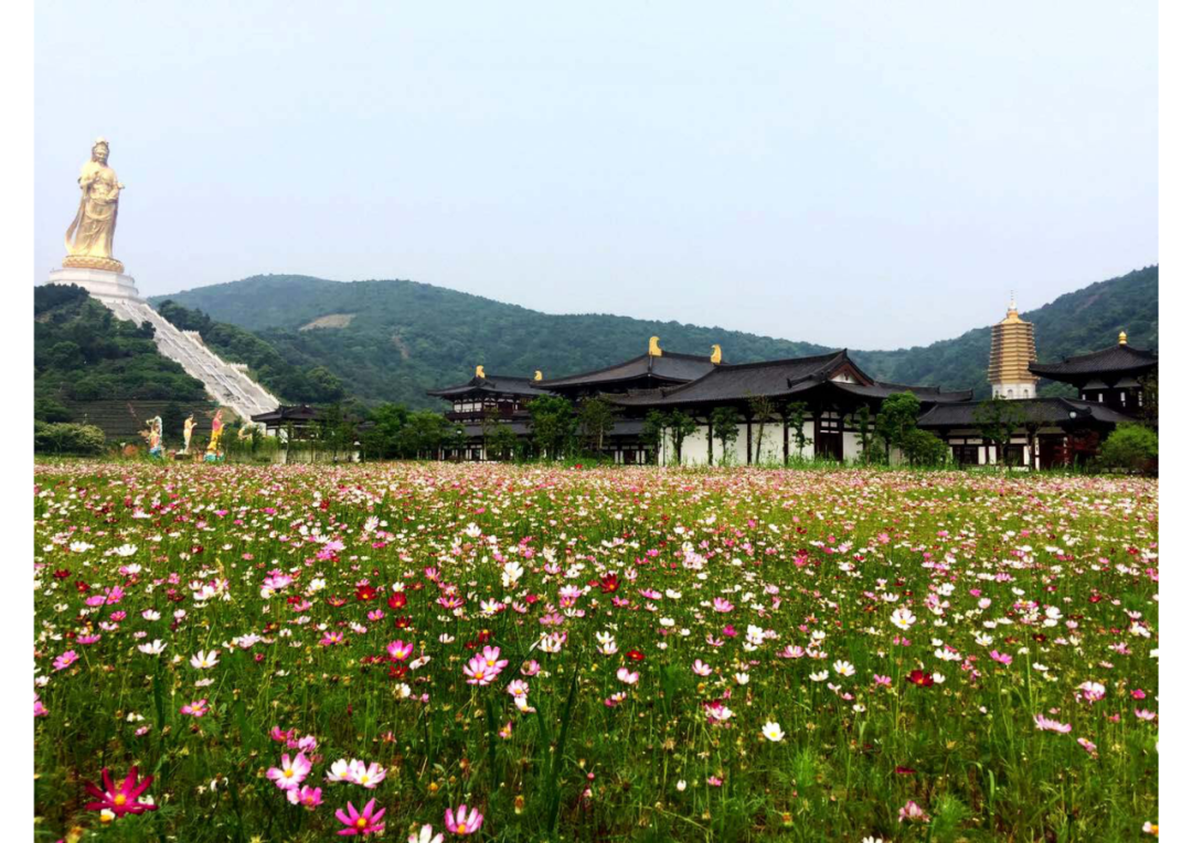 被疫情憋坏的朋友,快来"神仙"住的地方苏州大如意圣境撒欢吧