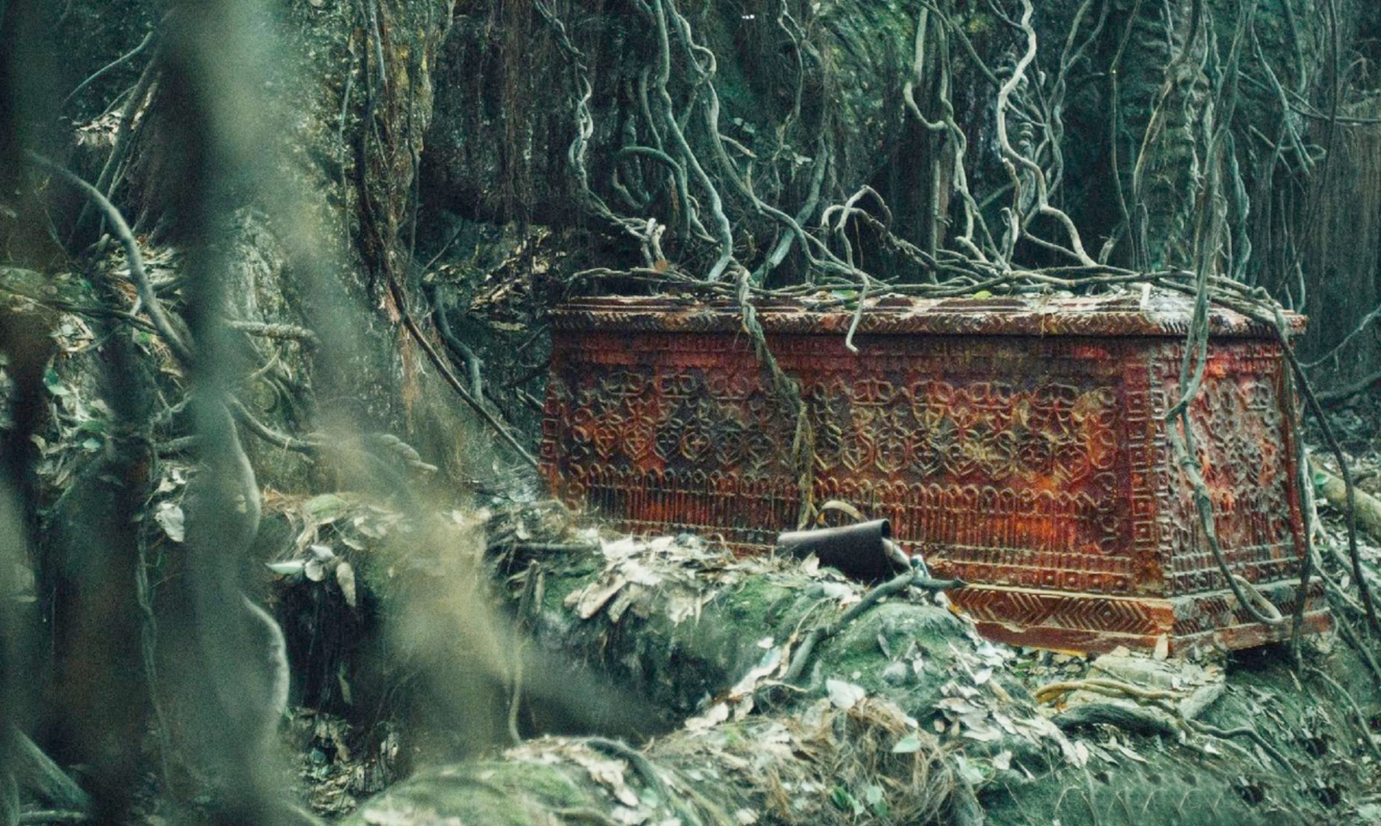 广西出土七星棺,墓主人身份成谜,专家证实棺内"龙须"是真的!