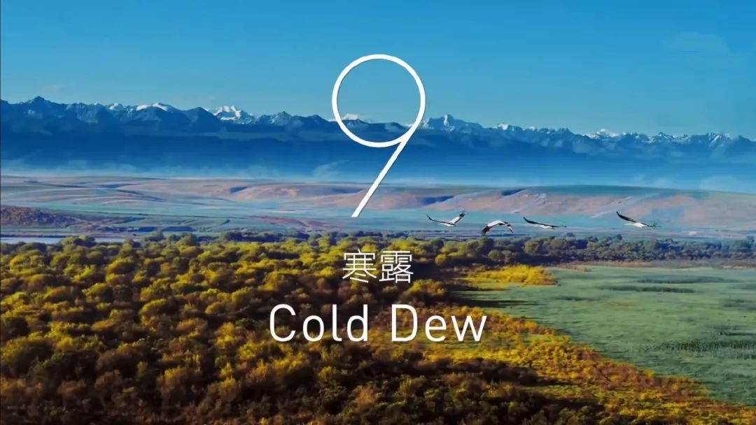 看完冬奥24节气倒计时,2022年的第一场新疆旅行可以安排起来了!