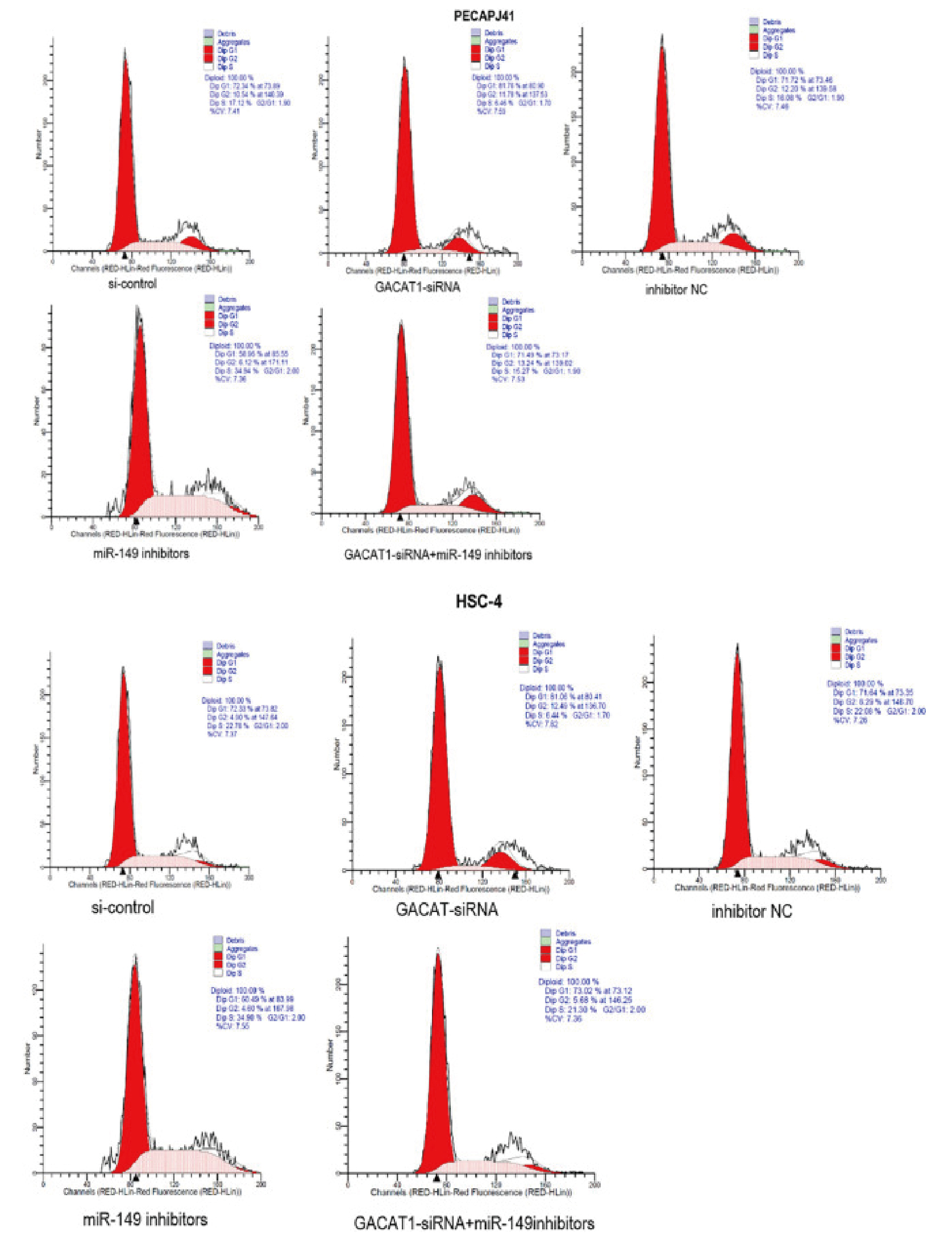 细胞周期检测怎么做?