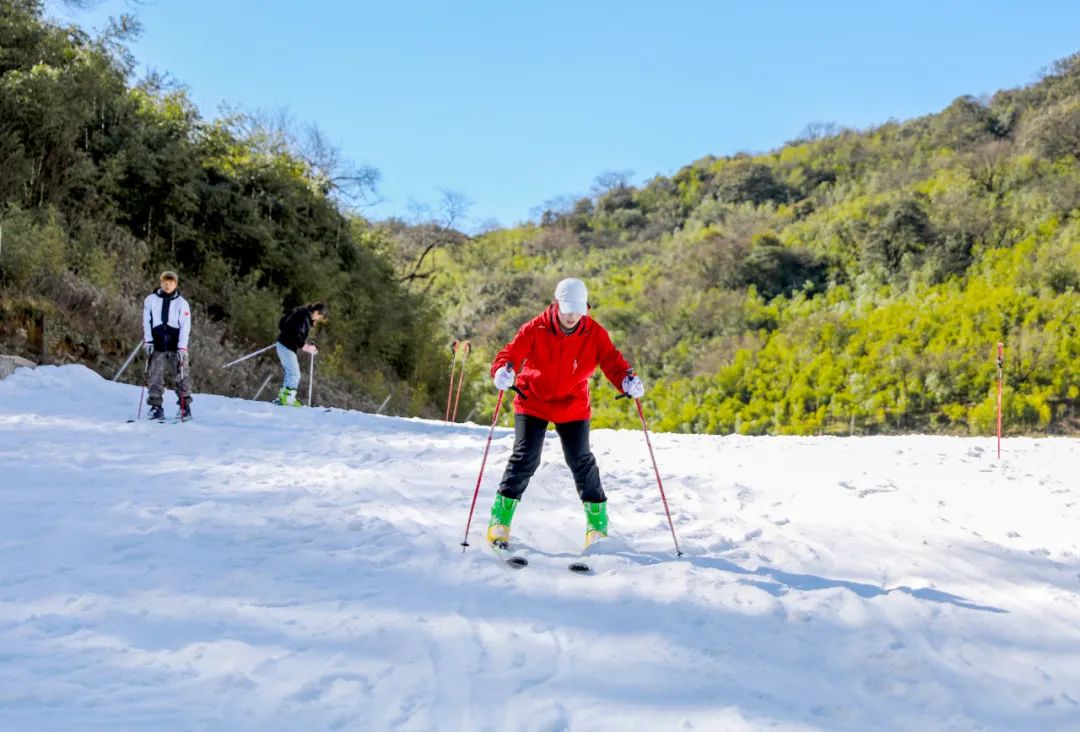 金佛山滑雪场开滑!南方唯一开放的高山户外滑雪场,等你来体验!