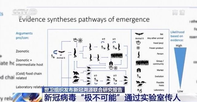 新冠病毒变化过程图片