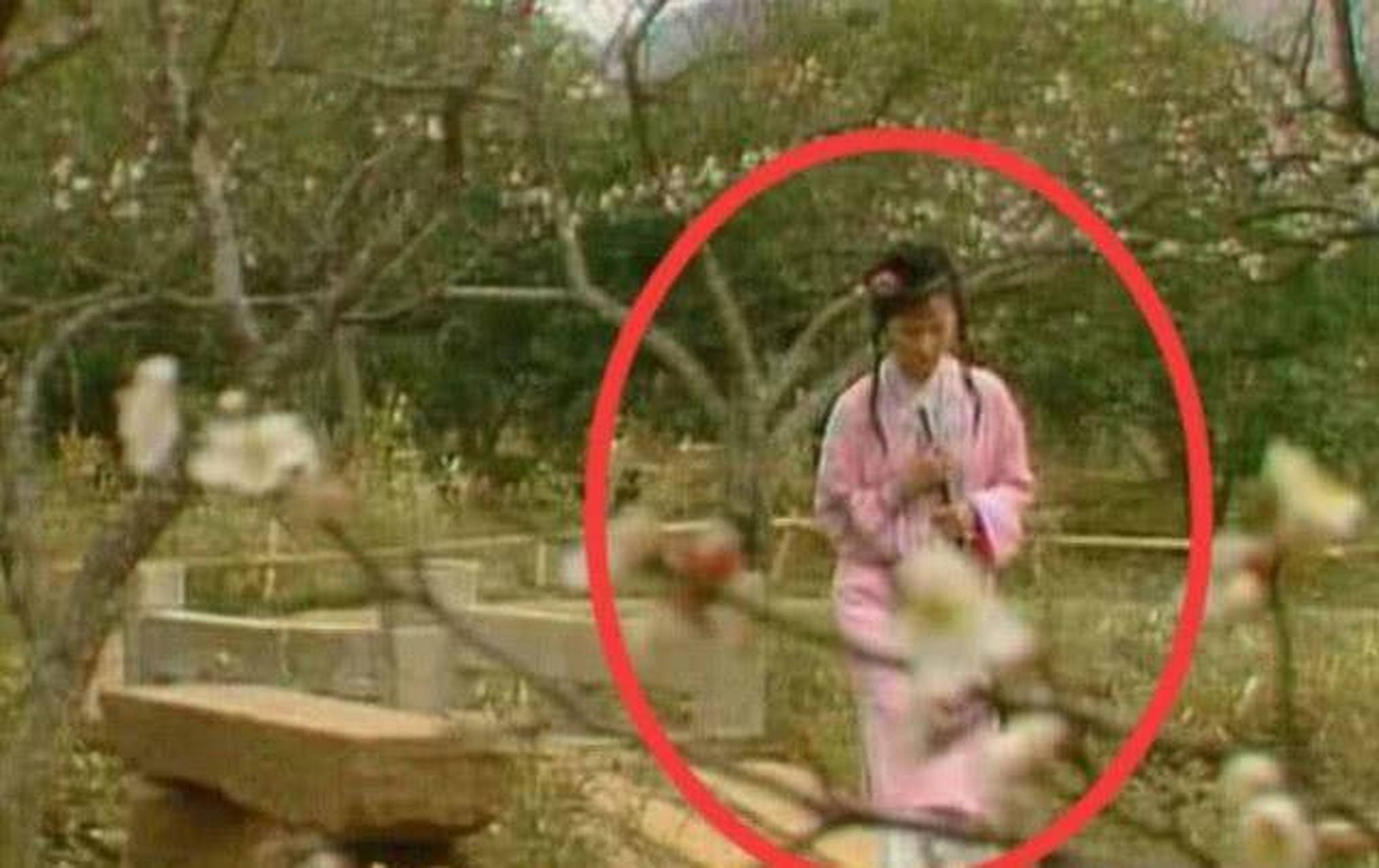 87版《红楼梦》穿帮镜头,播了32年居然才发现,张张都有亮点