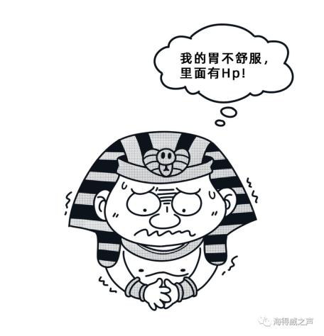 幽门螺杆菌简笔画图片