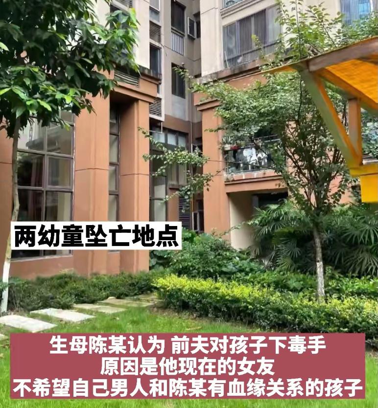 生父为讨现任欢心,竟将亲生儿女从15楼推下,小姐弟不幸身亡