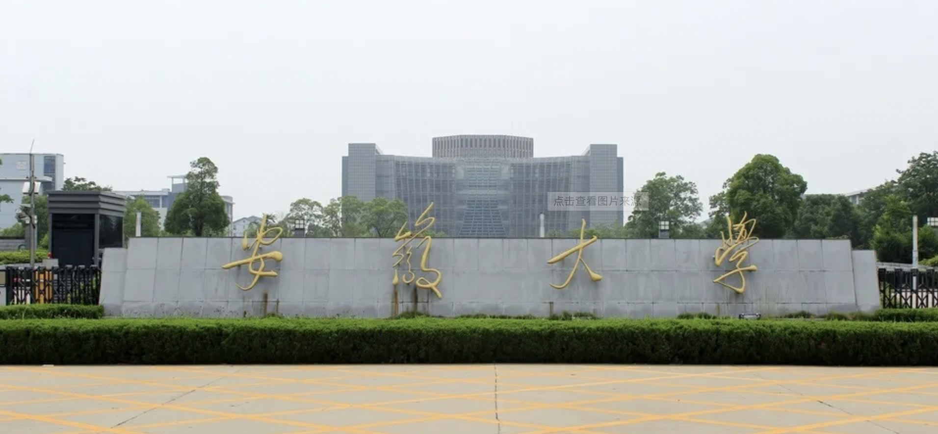 安徽大学2021年录取分数线出炉