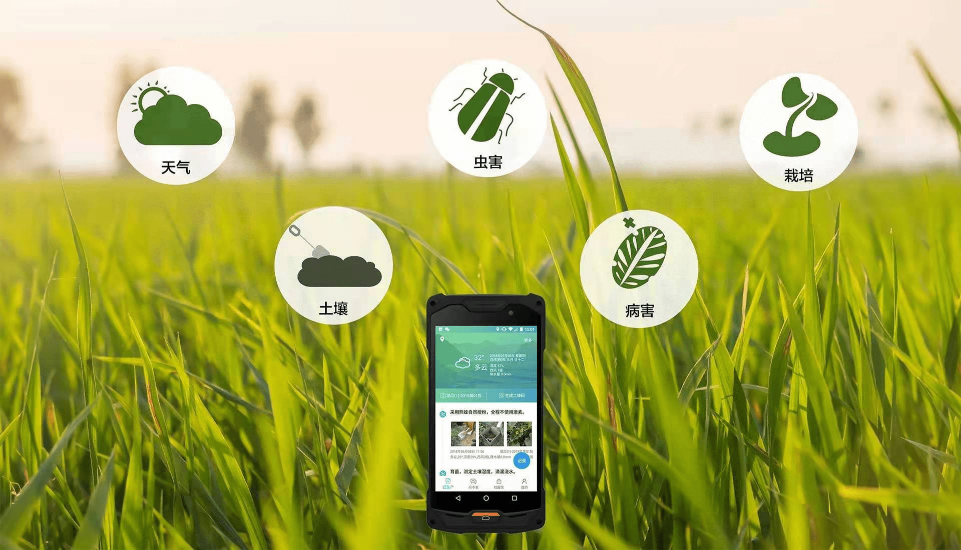 "互联网 "带来的农业新变革,如何实现农业可持续发展