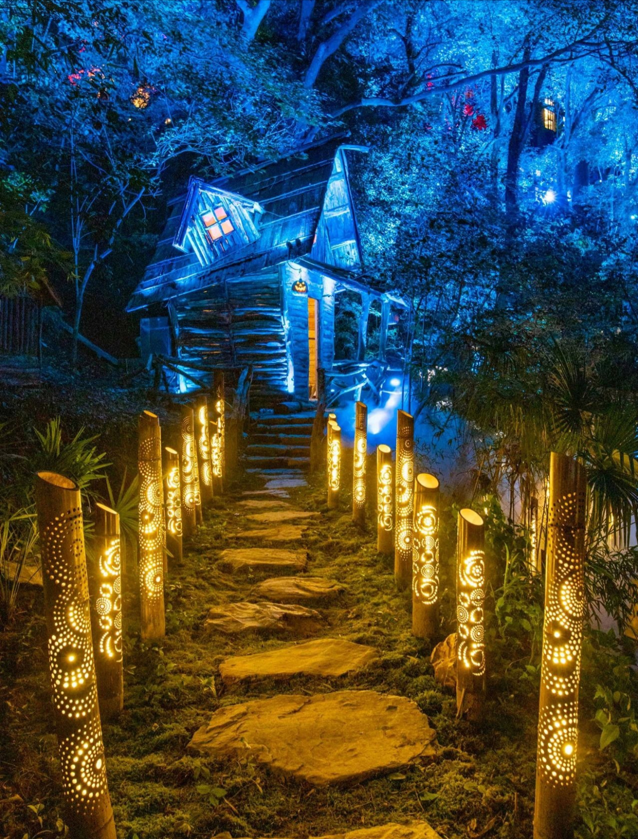 「全息森林公园」森林公园灯光秀,带你玩转光影世界