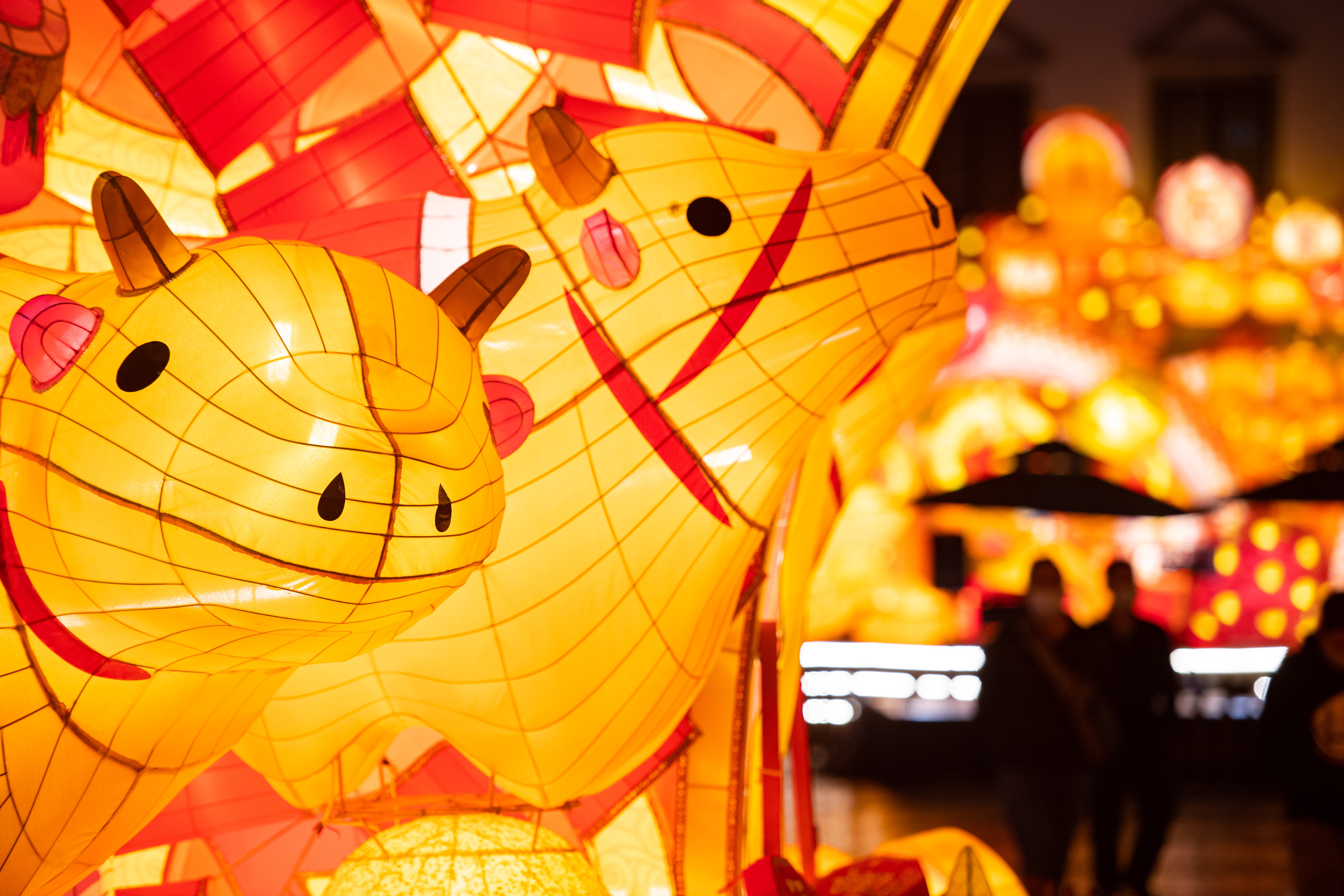 澳门:点亮牛年新春彩灯