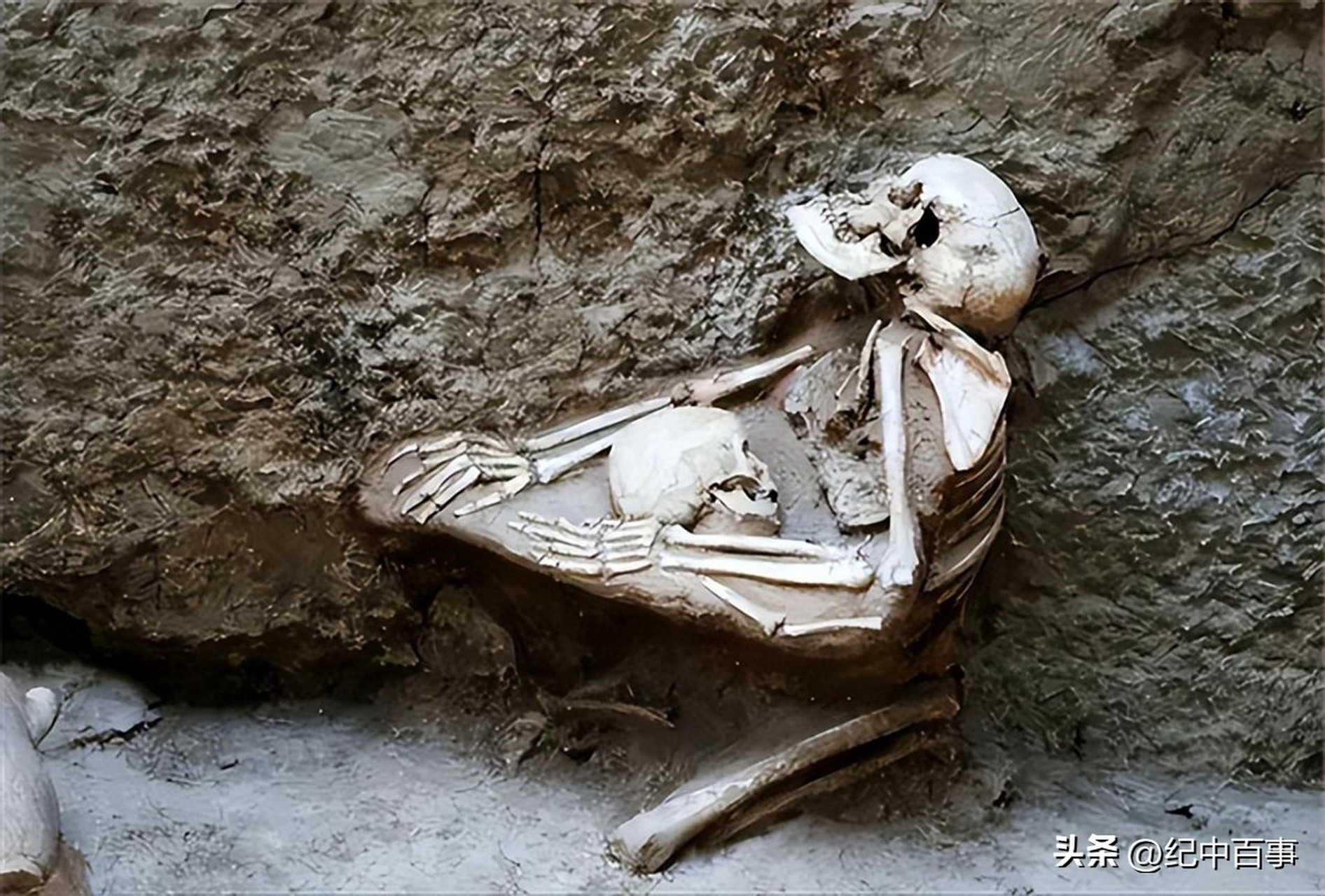 老张吓了一跳,他不敢耽搁.马上通知了村里管事的人