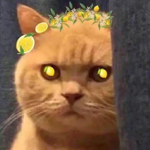 推荐男子楼梯扶手藏钱3年后取出惊喜坏了：一家4人坐着数钱数到手抽筋