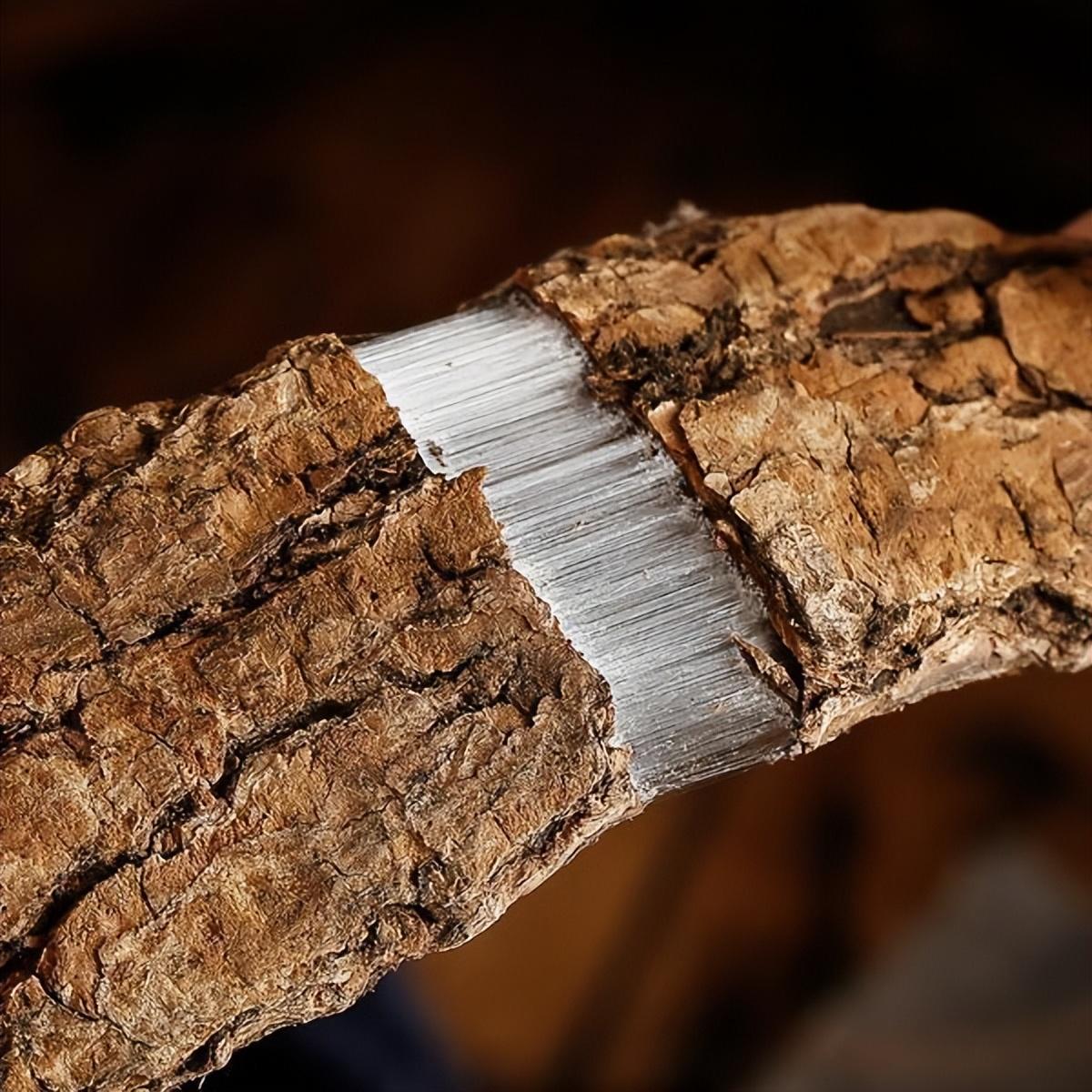 "杜仲黄金"橡胶技术!创新新突破,领跑新科技