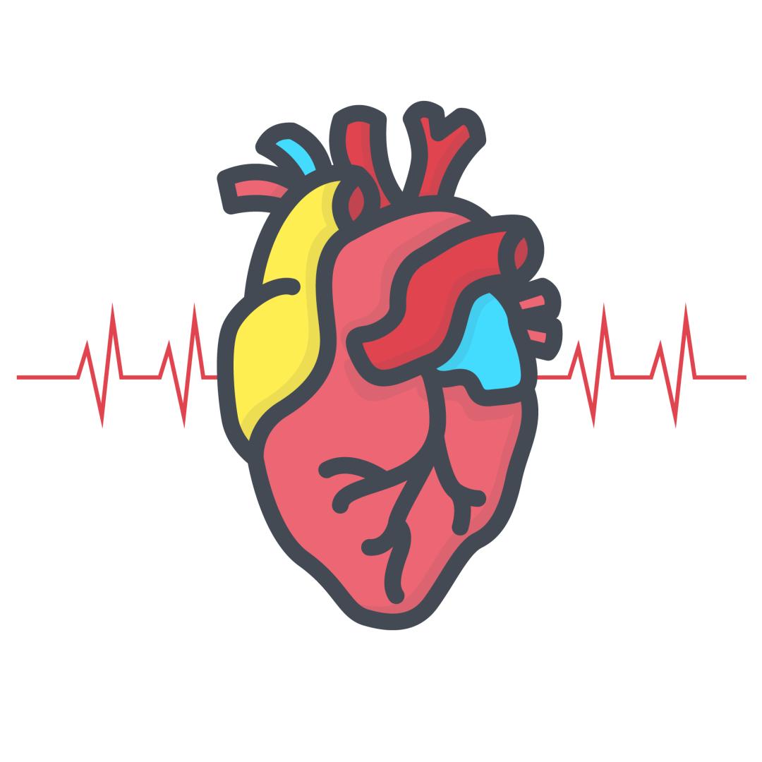 晚高峰乘客心脏突然不适,公交车秒变救护车送医