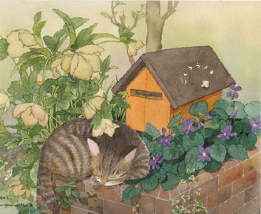 一组温馨的水彩手绘插画作品,静谧唯美的场景,是你喜欢的小美好