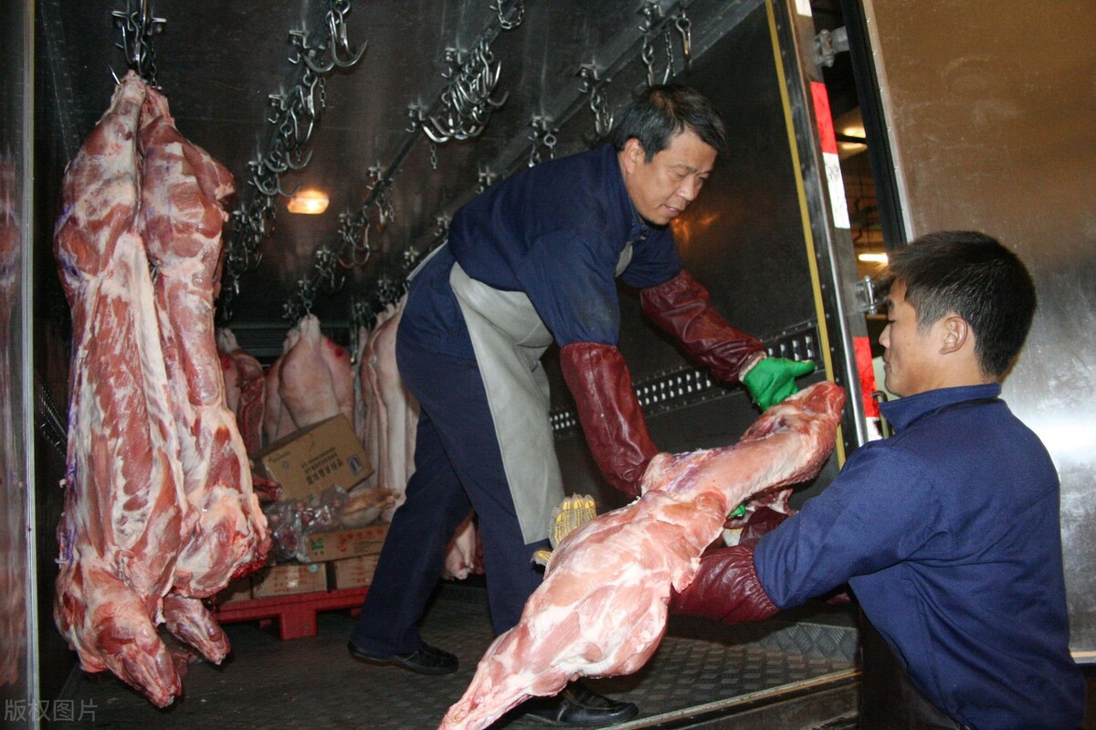 "运猪"改"运肉",肉类冷链最高扶持5000万!未来要吃冻肉了?