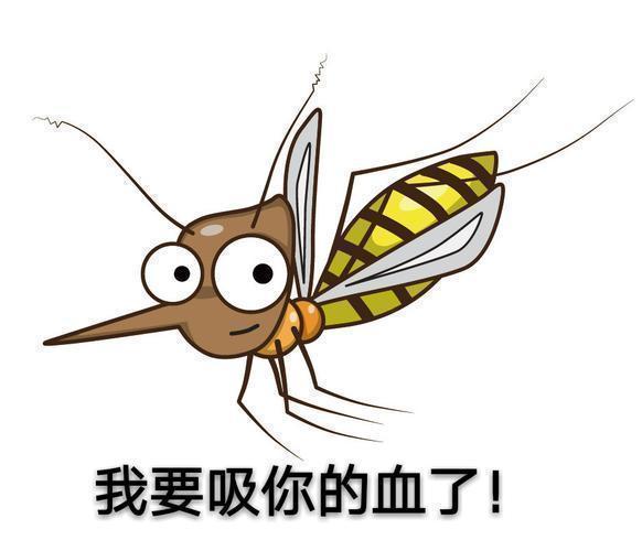 蚊子表情包微信图片