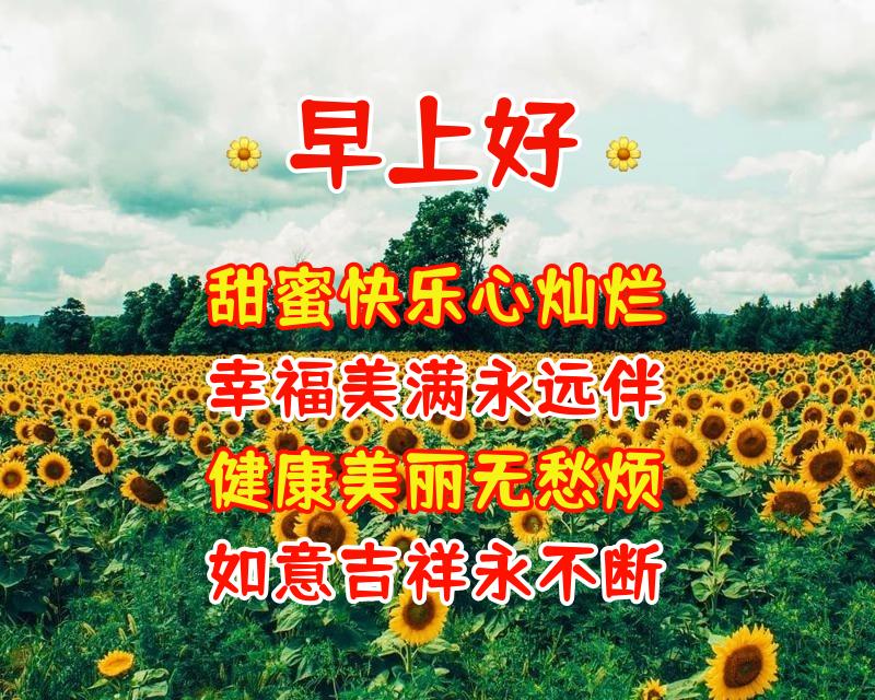 清晨最美早上好问候语图片带字 最新早安吉祥问候语