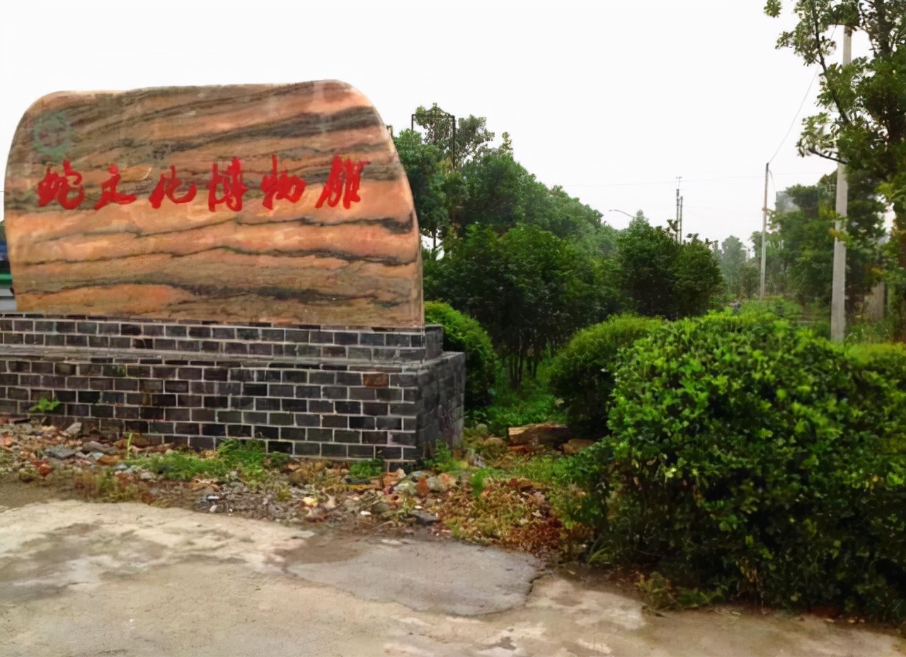 中国第一蛇村!浙江湖州村民饲养300万条蛇,难道不怕被蛇咬吗?