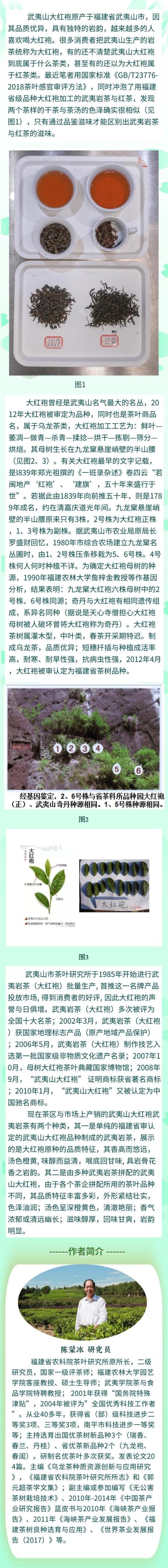 母树大红袍给谁喝了图片