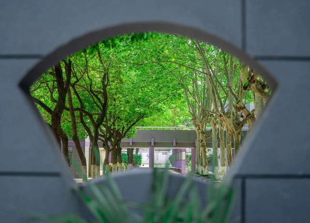 多少分可以报考南京市第六十六中学?校领导亲自解答!