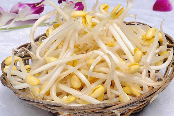 同是豆芽,黄豆芽和绿豆芽区别这么大,要想补对营养,该怎么选?