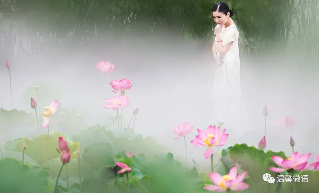 郭建中:莲荷情思