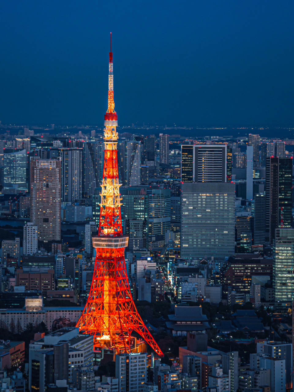 六本木夜景图片