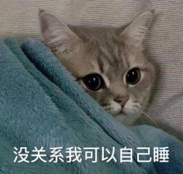 猫咪晚上发出哭一样的叫声,原来代表了这些意思!