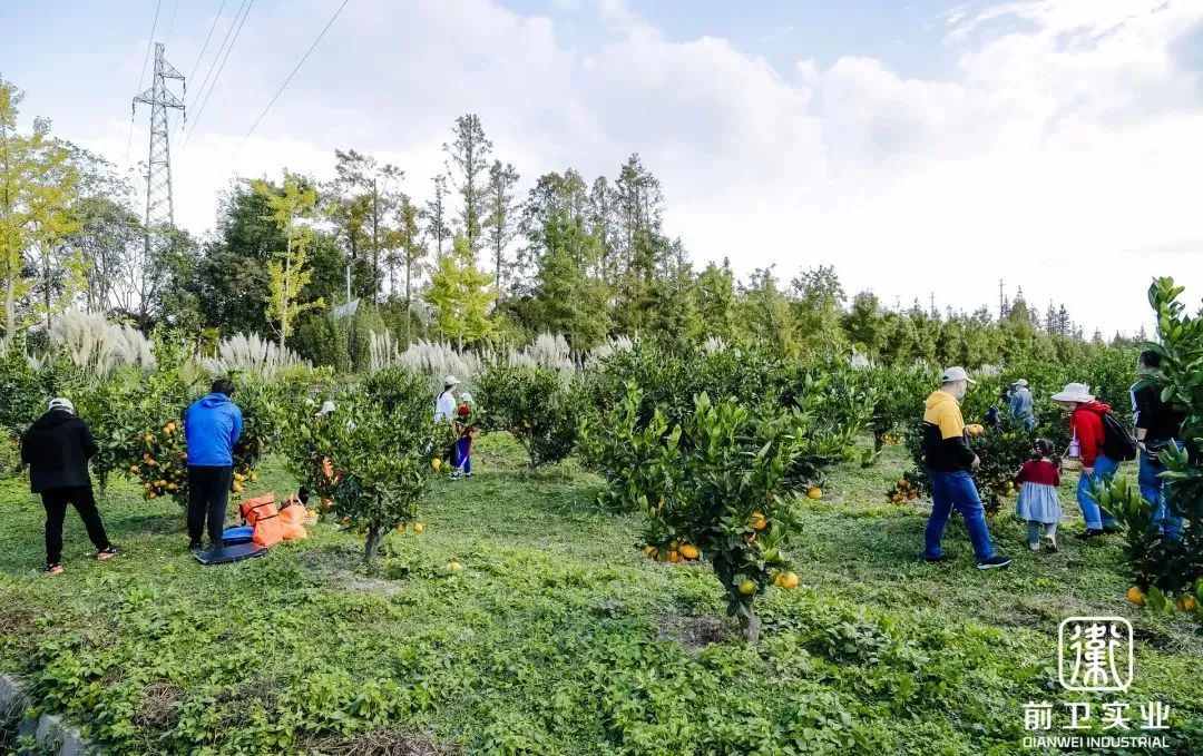 长兴岛郊野公园植树图片