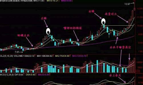 金蛤蟆形态能涨三倍图片