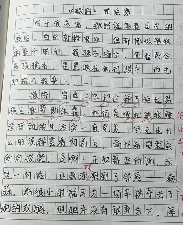 高考零分作文轰动全国图片