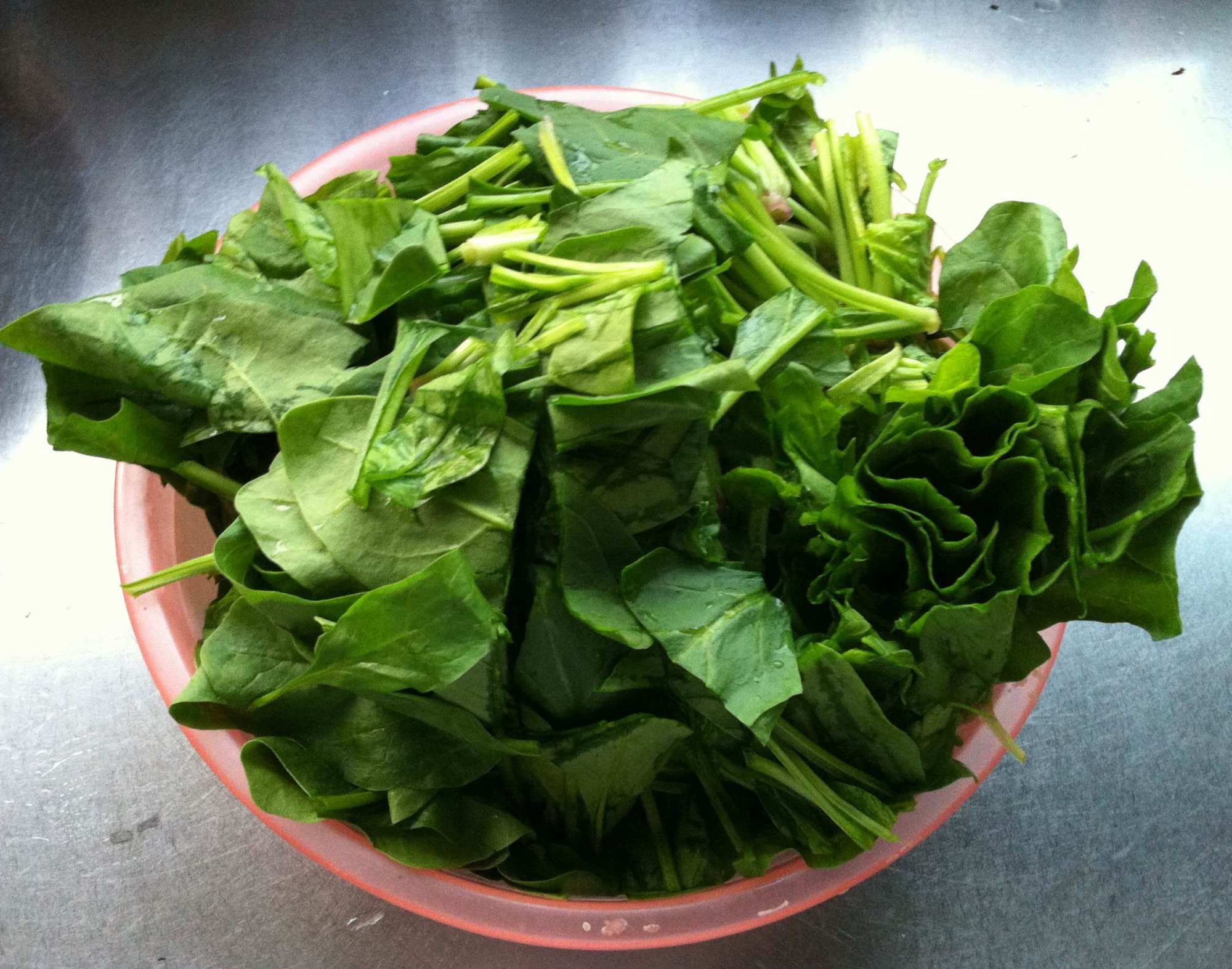 膀子上有鸡皮疙瘩和包皮(膀子上有鸡皮疙瘩和包皮一样)