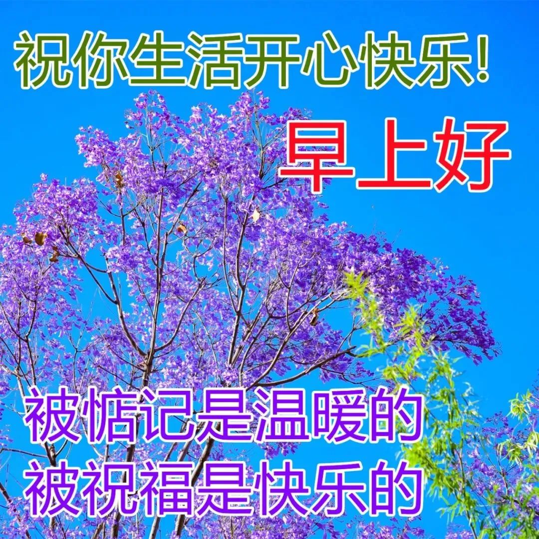 特别漂亮的美女早上好祝福图片 温馨早安祝福语短信精选