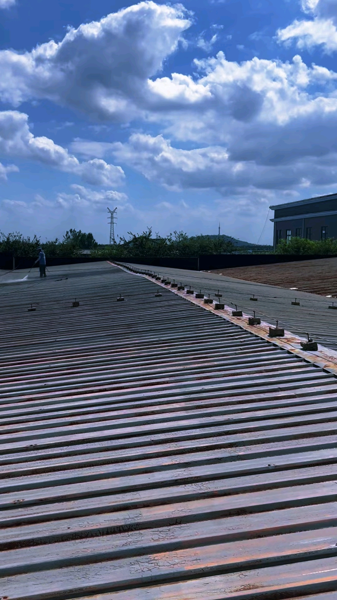 浙江省温州市工业园区,钢结构老厂房褪色生锈彩钢瓦屋顶翻新喷漆