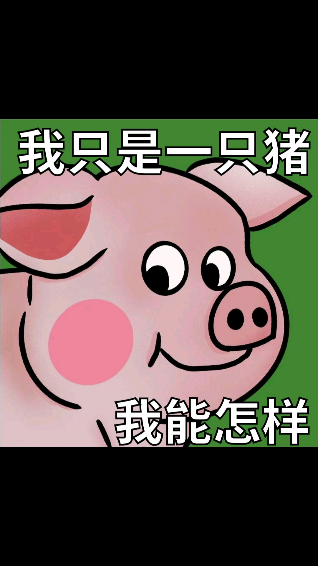 你永远不知道网友的表情包来自哪里笑鼠人啦,这只猪猪火啦#表情