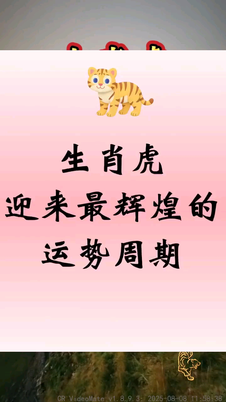 生肖虎8月运势完整版(生肖虎8月份运势)