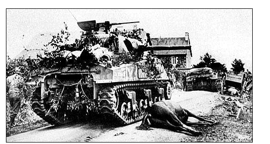 二战1944年德军第17装甲掷弹兵师法莱斯突围战