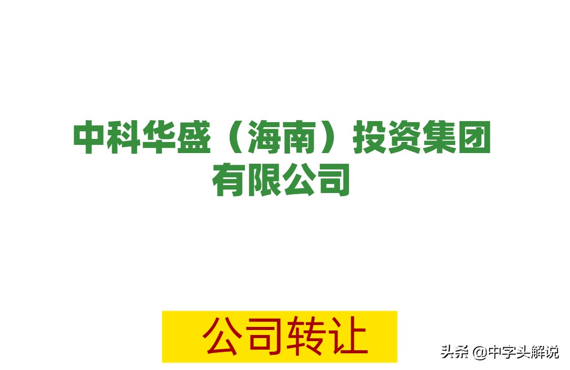 中科华盛投资集团有限公司—转股解析